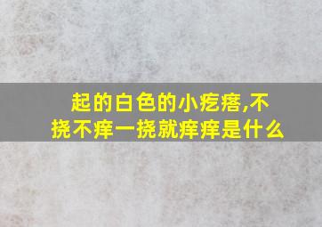 起的白色的小疙瘩,不挠不痒一挠就痒痒是什么