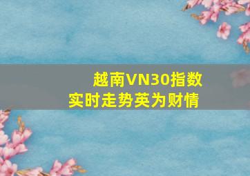 越南VN30指数实时走势英为财情