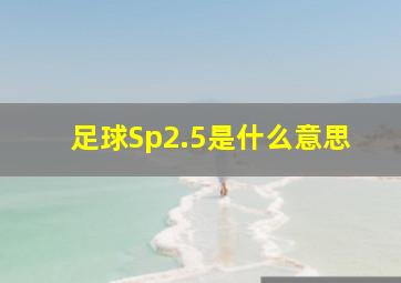 足球Sp2.5是什么意思