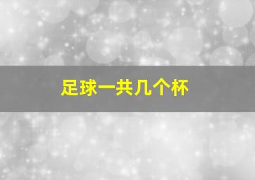 足球一共几个杯