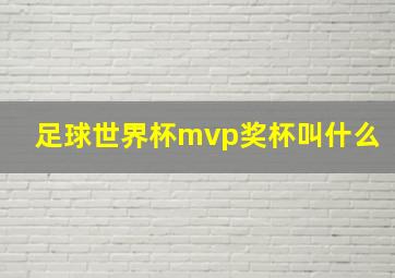 足球世界杯mvp奖杯叫什么