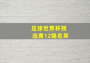 足球世界杯预选赛12强名单