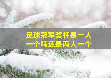 足球冠军奖杯是一人一个吗还是两人一个