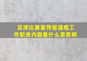 足球比赛宣传报道组工作职责内容是什么意思啊