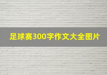 足球赛300字作文大全图片