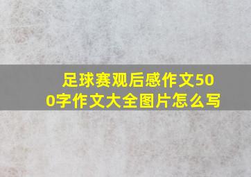 足球赛观后感作文500字作文大全图片怎么写