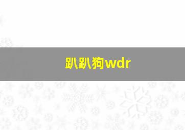 趴趴狗wdr