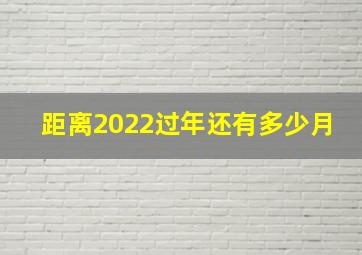 距离2022过年还有多少月