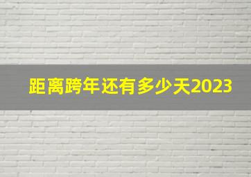 距离跨年还有多少天2023