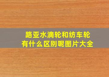 路亚水滴轮和纺车轮有什么区别呢图片大全