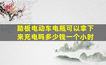 踏板电动车电瓶可以拿下来充电吗多少钱一个小时