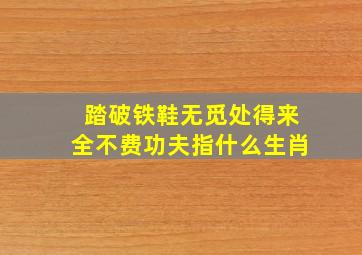 踏破铁鞋无觅处得来全不费功夫指什么生肖