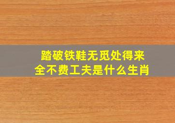 踏破铁鞋无觅处得来全不费工夫是什么生肖