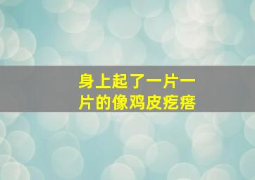 身上起了一片一片的像鸡皮疙瘩