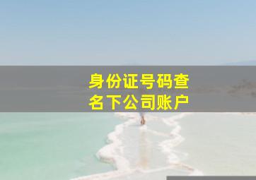 身份证号码查名下公司账户