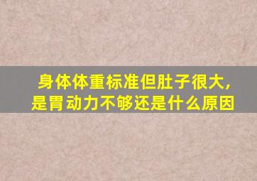 身体体重标准但肚子很大,是胃动力不够还是什么原因