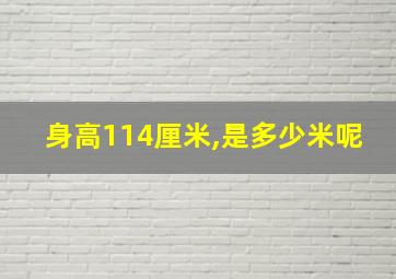 身高114厘米,是多少米呢