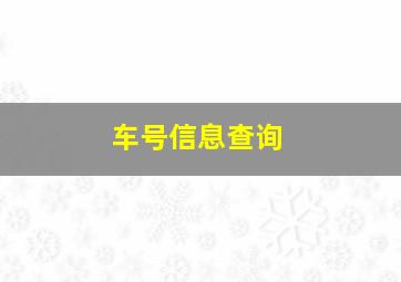 车号信息查询