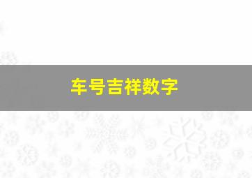 车号吉祥数字