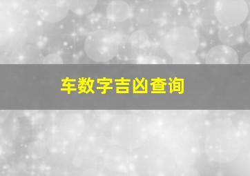 车数字吉凶查询