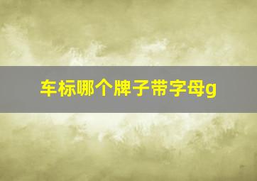 车标哪个牌子带字母g