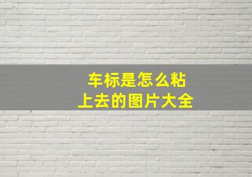 车标是怎么粘上去的图片大全