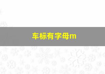 车标有字母m