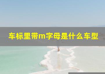 车标里带m字母是什么车型