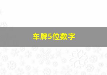 车牌5位数字