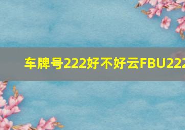 车牌号222好不好云FBU222