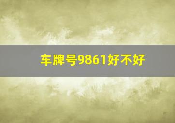 车牌号9861好不好