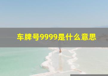 车牌号9999是什么意思