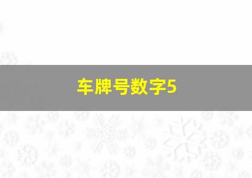 车牌号数字5