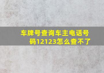 车牌号查询车主电话号码12123怎么查不了