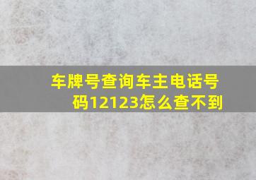 车牌号查询车主电话号码12123怎么查不到