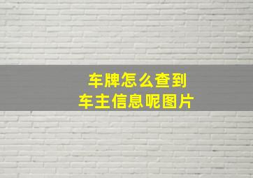 车牌怎么查到车主信息呢图片