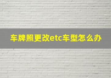 车牌照更改etc车型怎么办