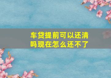 车贷提前可以还清吗现在怎么还不了