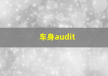 车身audit