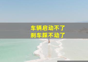 车辆启动不了刹车踩不动了