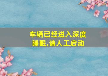 车辆已经进入深度睡眠,请人工启动