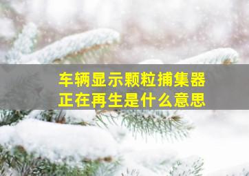 车辆显示颗粒捕集器正在再生是什么意思