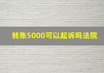 转账5000可以起诉吗法院