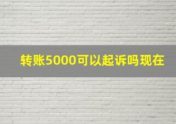 转账5000可以起诉吗现在