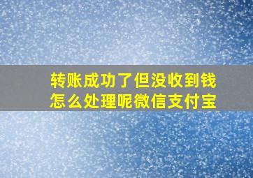 转账成功了但没收到钱怎么处理呢微信支付宝