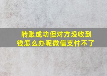 转账成功但对方没收到钱怎么办呢微信支付不了