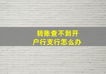 转账查不到开户行支行怎么办