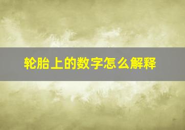 轮胎上的数字怎么解释