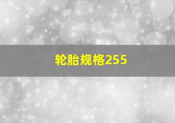 轮胎规格255