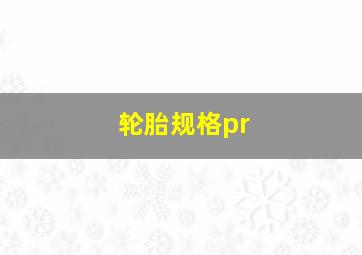 轮胎规格pr